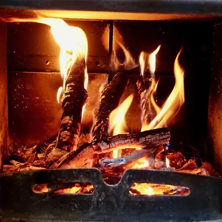 Haring Kitzeck im Sausal