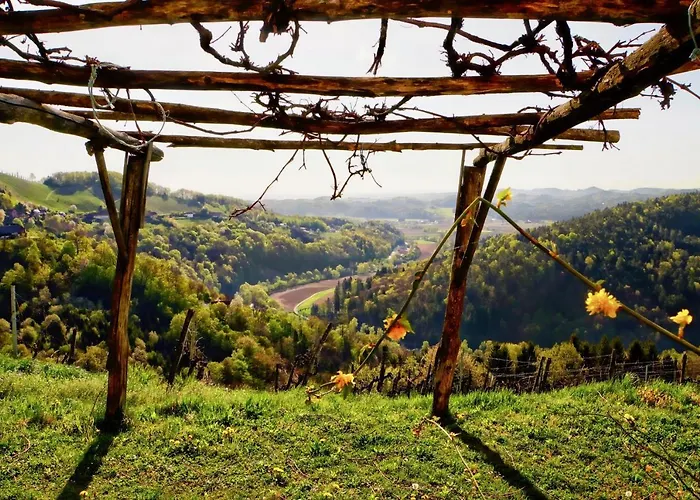 Haring Tatil Evi Kitzeck im Sausal